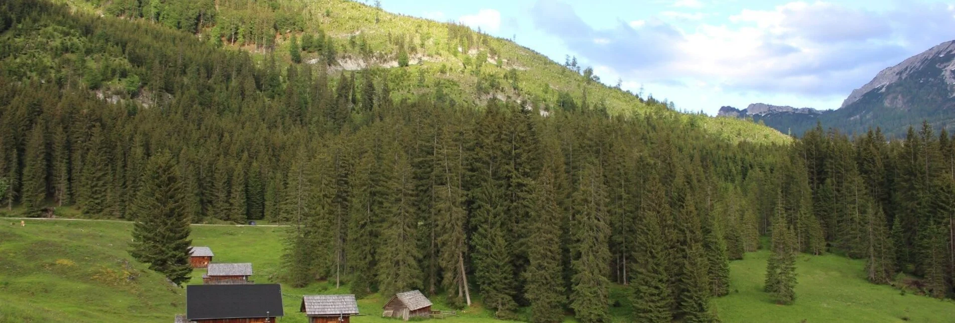 Mountain Biking Salza round - Touren-Impression #1 | © TVB Ausseerland Salzkammergut_(c) Viola Lechner