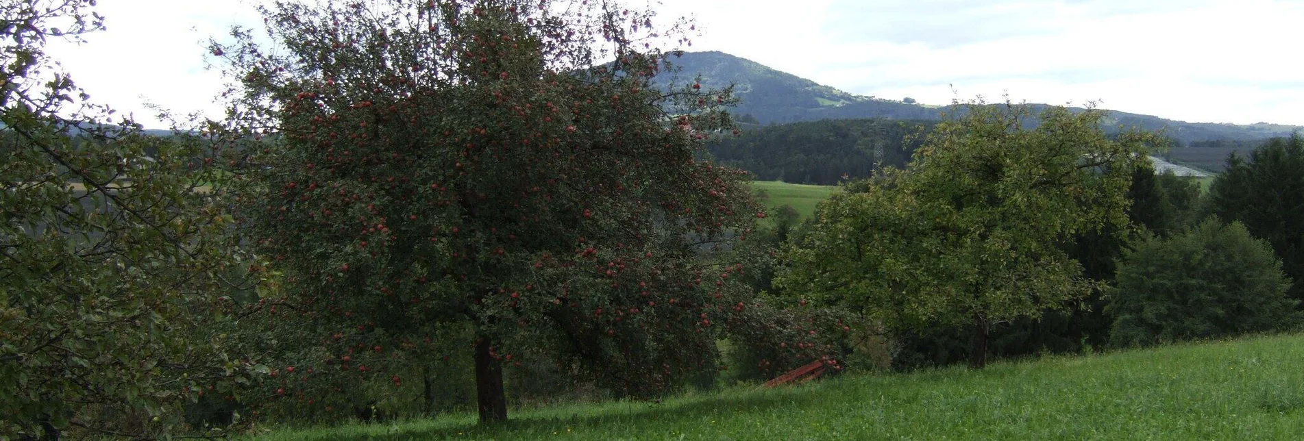 Hiking route Lex- Michlhof- Runde - Touren-Impression #1 | © Oststeiermark Tourismus