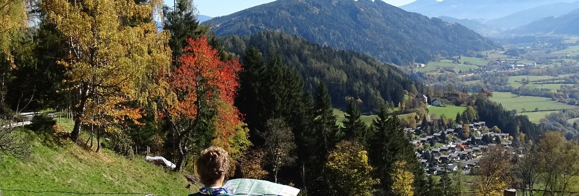 Wanderung Waldlehrwanderweg Nr. 01 - Touren-Impression #1 | © WEGES OG