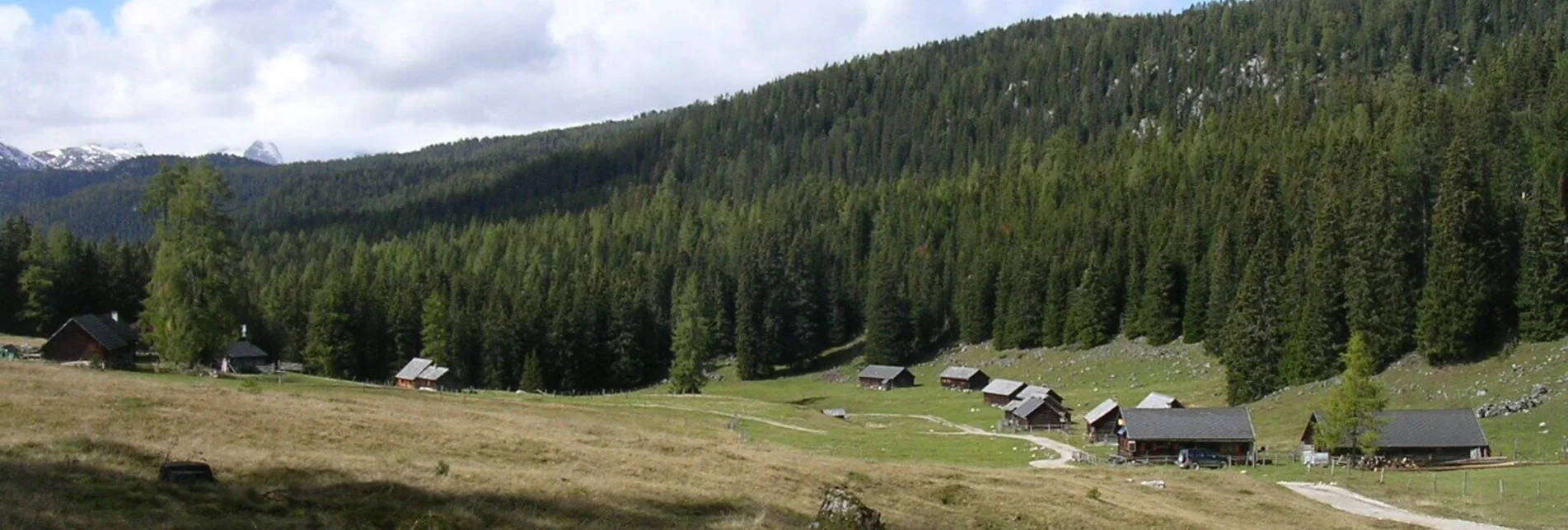 Hiking route Viehbergalm - Miesbodensee - Touren-Impression #1 | © Erlebnisregion Schladming-Dachstein