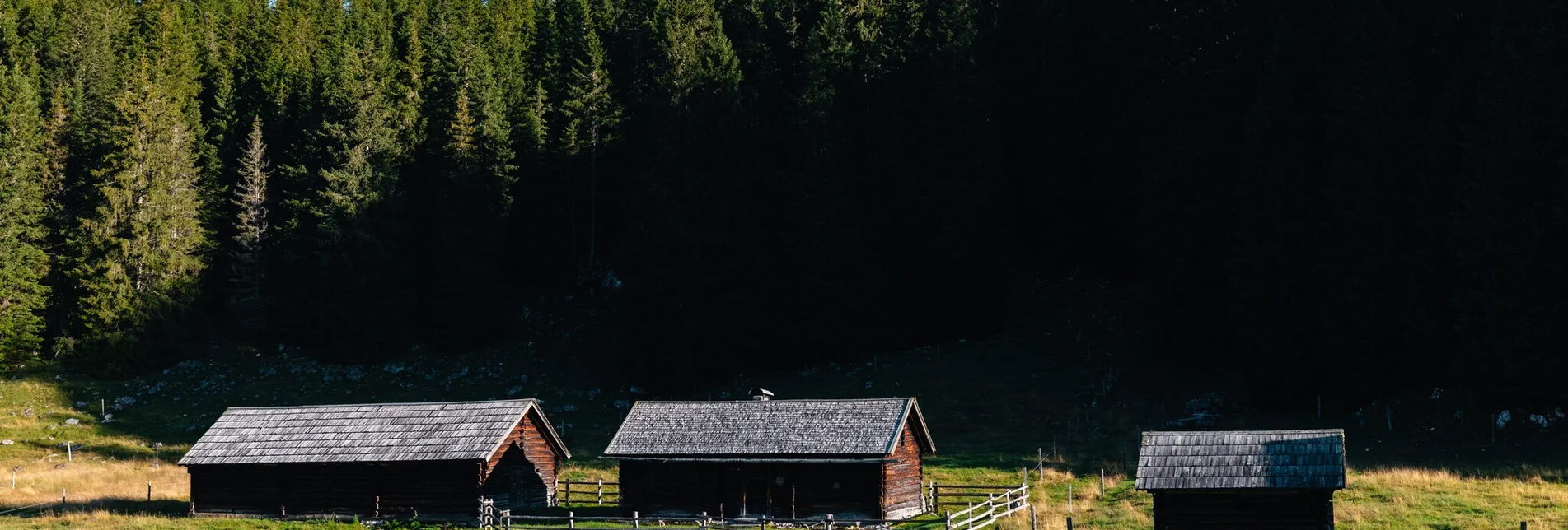 Wanderung Viehbergalm - Miesbodensee - Touren-Impression #1