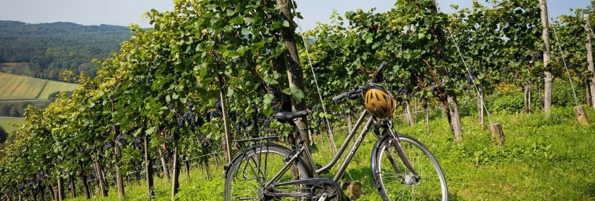 Bike Riding Power source tour (Kraftquellen Tour) - Touren-Impression #1 | © Werner Krug