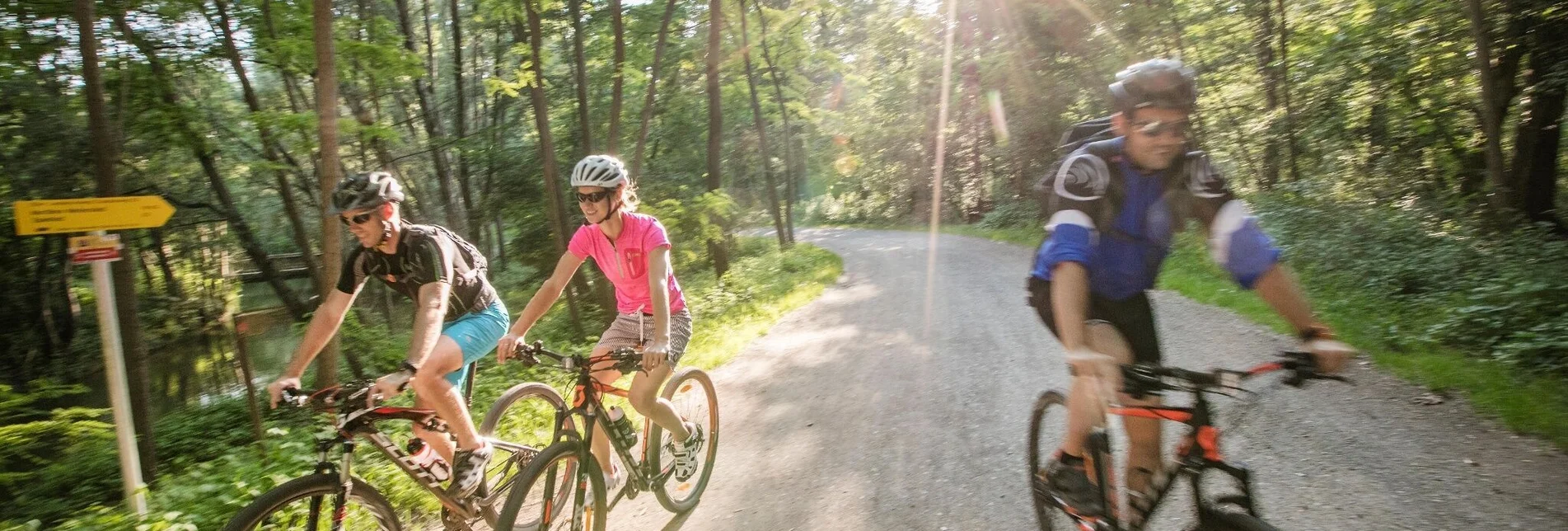Bike Riding Panorama-Tour - Touren-Impression #1 | © Thermen- & Vulkanland