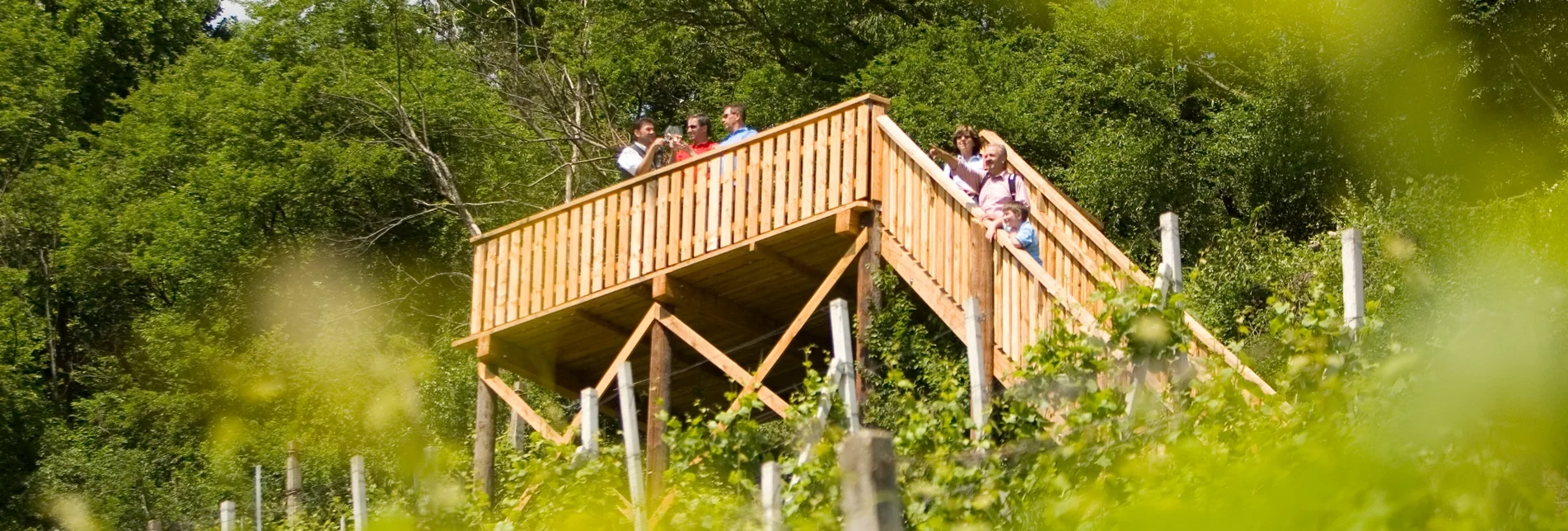 Wanderung Traminerweg Klöch, 1. Abschnitt, Rund um den Seindl - Touren-Impression #1 | © Thermen- & Vulkanland