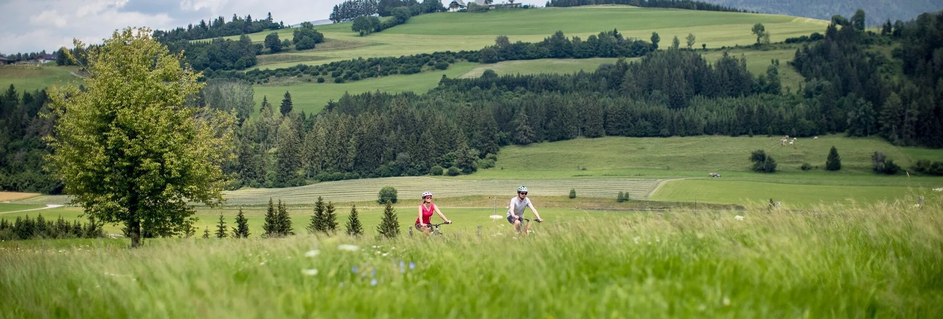 Radfahren Neumarkter Radweg - R18 - Touren-Impression #1 | © Tourismusverband Murau