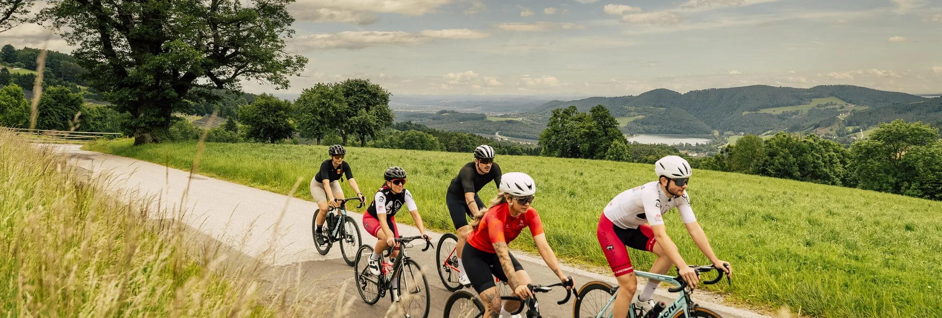 Bike Riding Tour through apple country - Touren-Impression #1