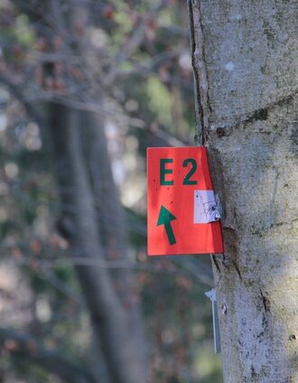 arnfelser wege - eichberg (e2)_img_12534033 | Ulrike Elsneg | © Ulrike Elsneg