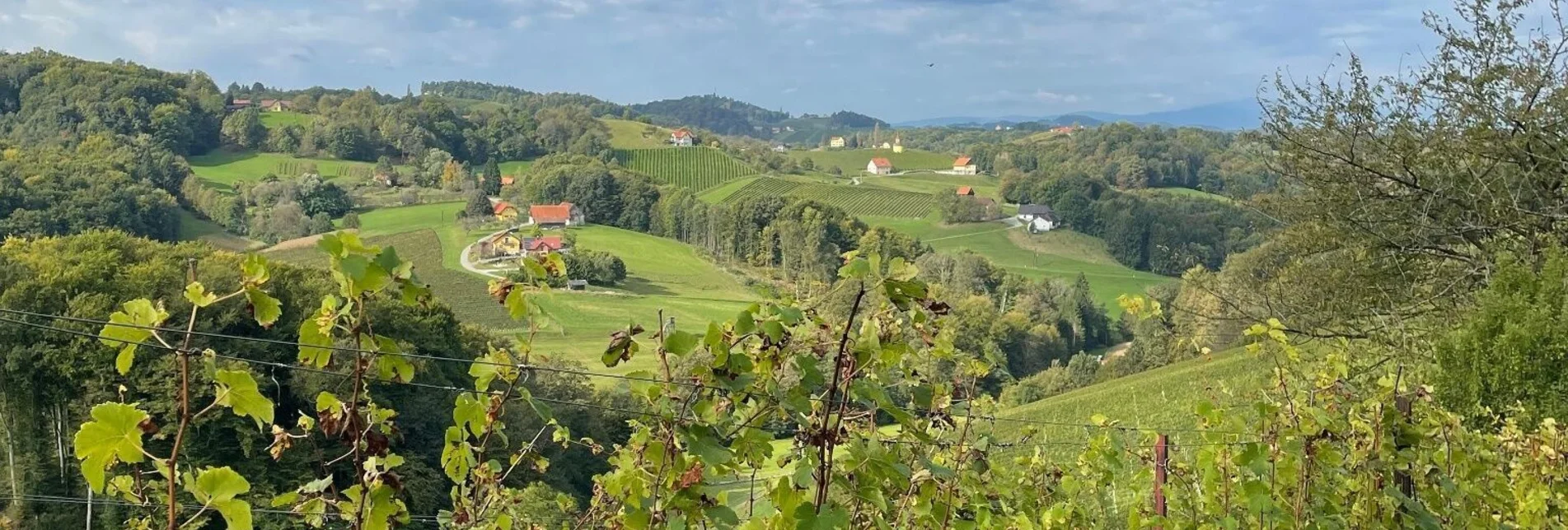 Wanderung Berghausener Rundwanderweg Nr. 1 – Tour 7 lt. WK „Von der Alm zum Wein“ - Touren-Impression #1 | © TVB Südsteiermark/Brigitte Weihs