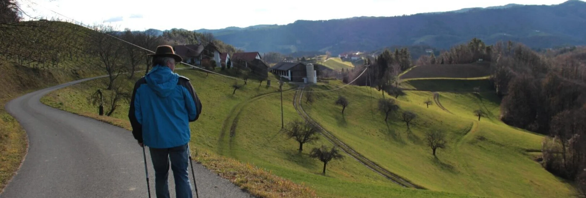 Wanderung Arnfelser Wege - Eichberg E1 - Touren-Impression #1 | © Ulrike Elsneg