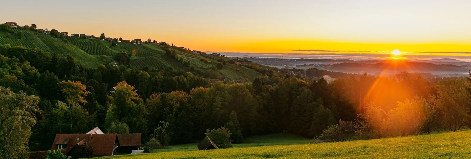 Wanderung Genuss-Schilchern DORT (mittel) - Touren-Impression #1 | © TVB Südsteiermark/Foto Augenblick