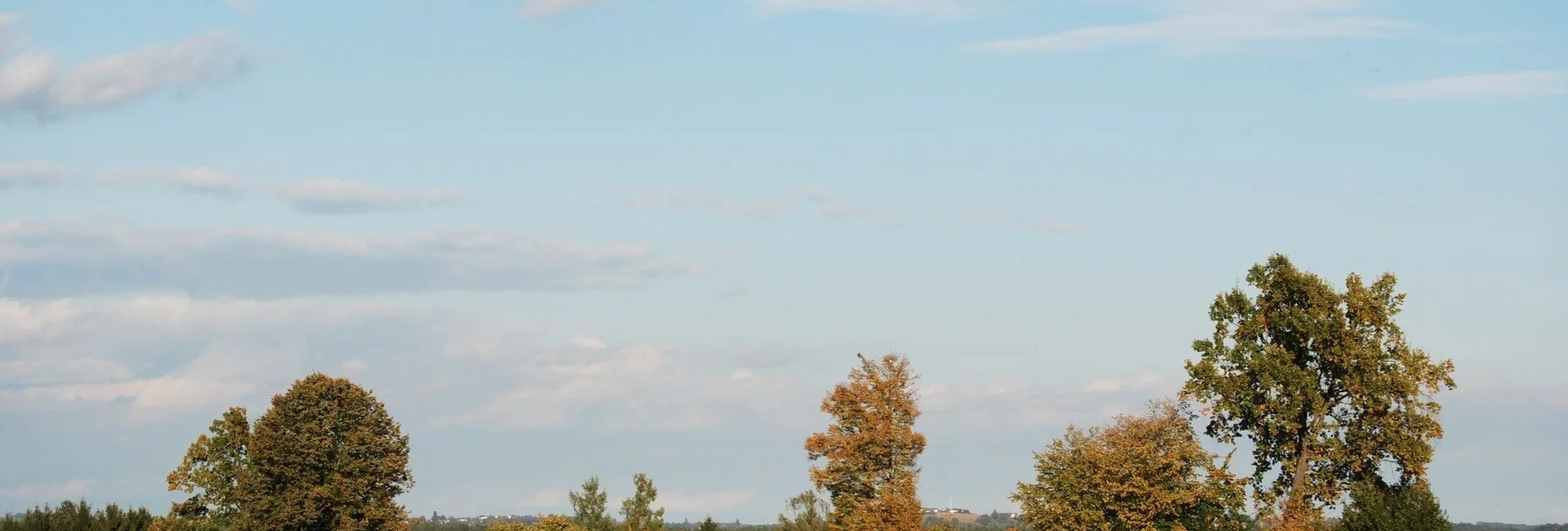 Radfahren Lindeggerweg - Thermengemeinde Bad Blumau - Touren-Impression #1 | © Kurkommission Bad Blumau