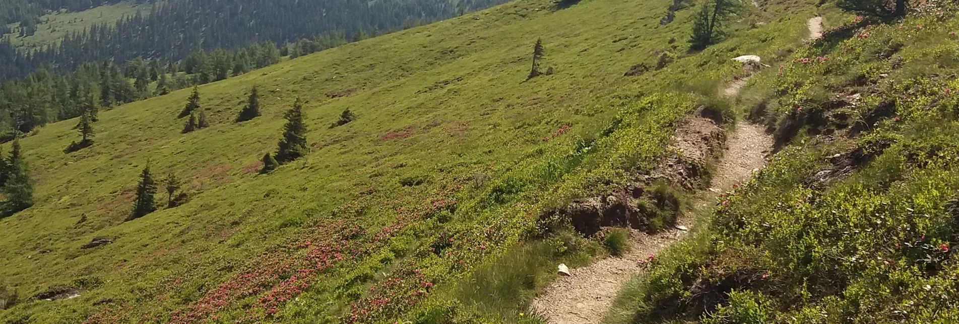 Long-Distance Hiking Koralm Crystal Trail - Touren-Impression #1 | © Region Graz