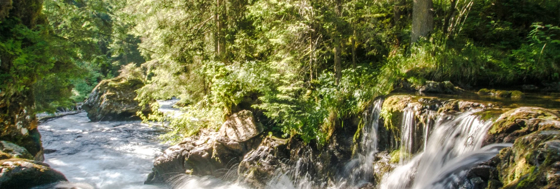 Wanderung Themenweg Wilde Wasser - Touren-Impression #1 | © Gerhard Pilz