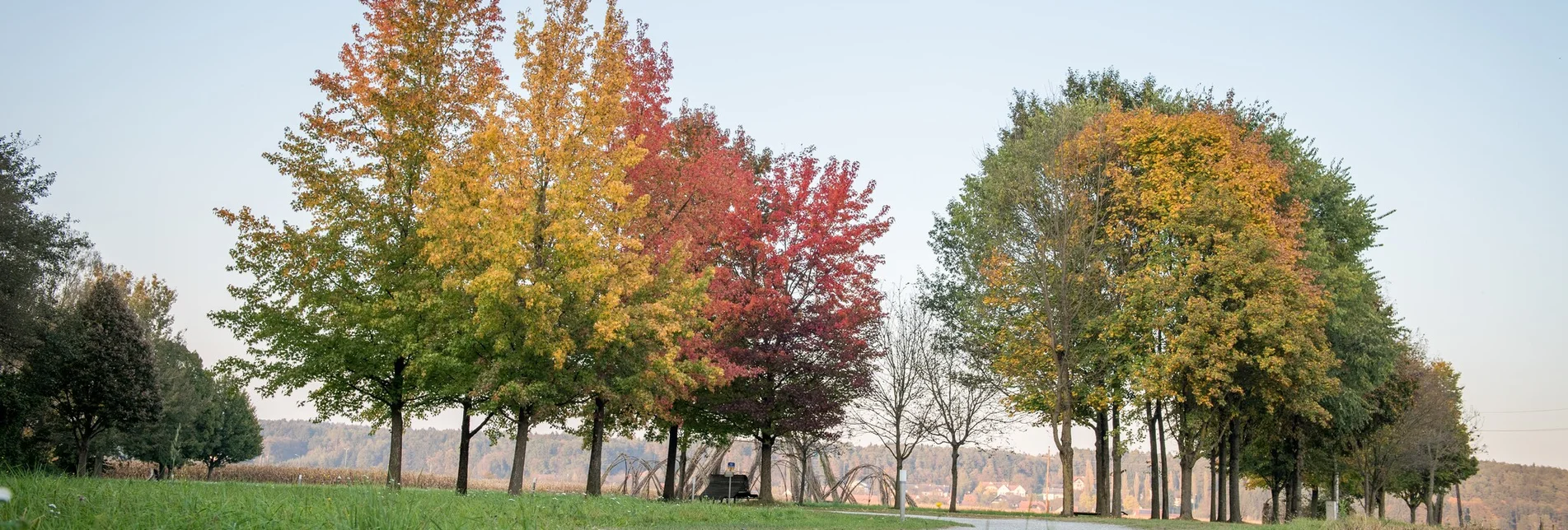 Hiking route Power Tour (Krafttour) - Touren-Impression #1 | © Kurkommission Bad Blumau