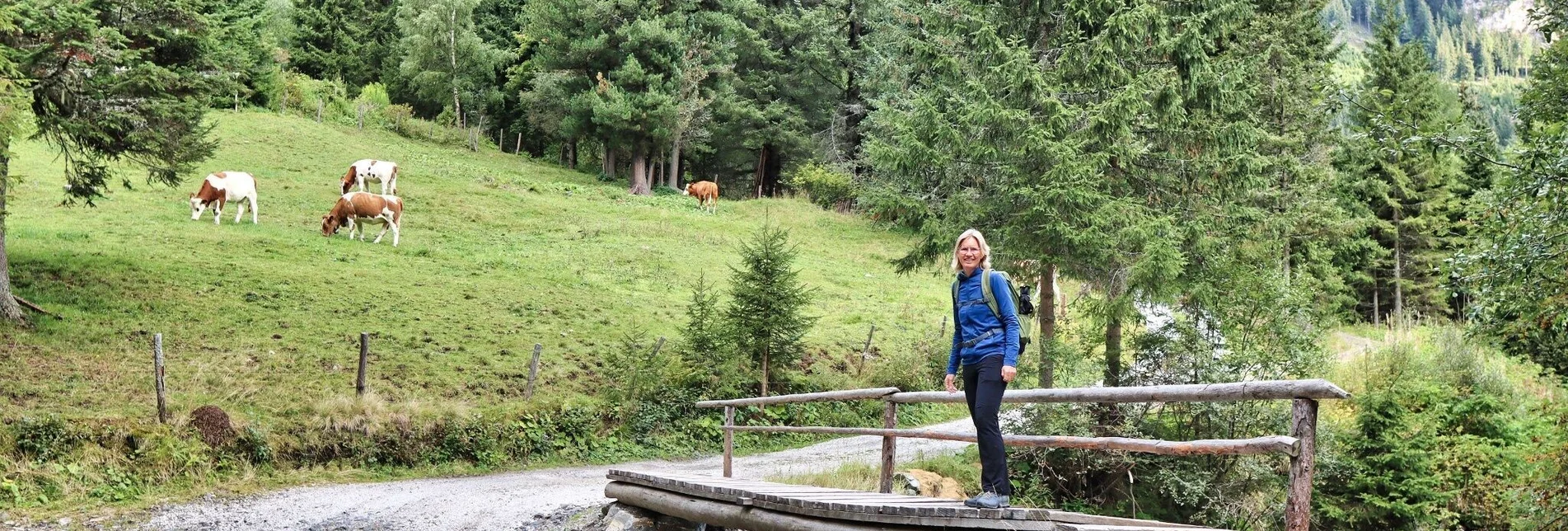 Wanderung 3 Gipfel bei den Goldgräbern auf der Wildalm - Touren-Impression #1 | © Weges OG