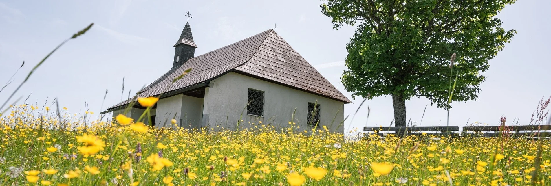 Wanderung Um das Roßeck - Touren-Impression #1 | © Tourismusverband Murau