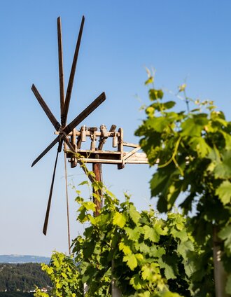 Klapotetz in the vineyard on the Hochgrail | Schoettl | © ORF 