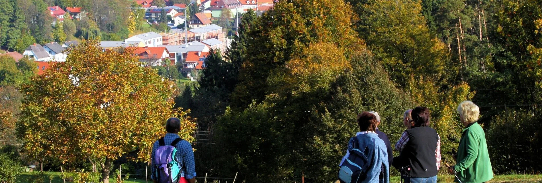 Hiking route Sch(m)ankerlweg - Ligister delicacies trail - Touren-Impression #1 | © TVB Ligist