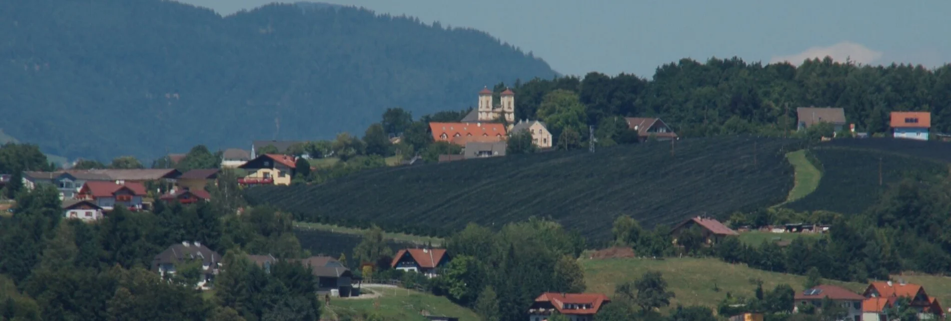 Hiking route panorama path, St. Ruprecht/Raab - Touren-Impression #1 | © Oststeiermark Tourismus