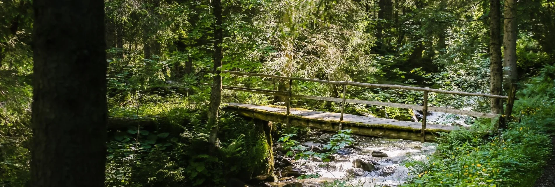 Wanderung Zur Lärchkar- und Stalla Alm - Touren-Impression #1 | © Tourismusverband Grimming-Donnersbachtal