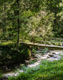 Brücke am Weg zur Lärchkaralm. | © Tourismusverband Grimming-Donnersbachtal | Roland Gutwenger | © Tourismusverband Grimming-Donnersbachtal