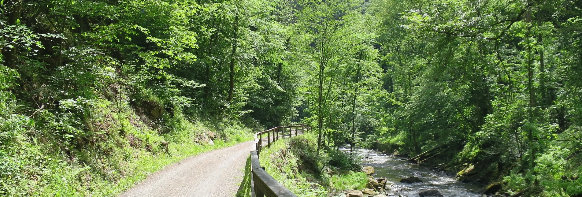 Radfahren Feistritztalradweg R8 - Touren-Impression #1 | © Oststeiermark Tourismus