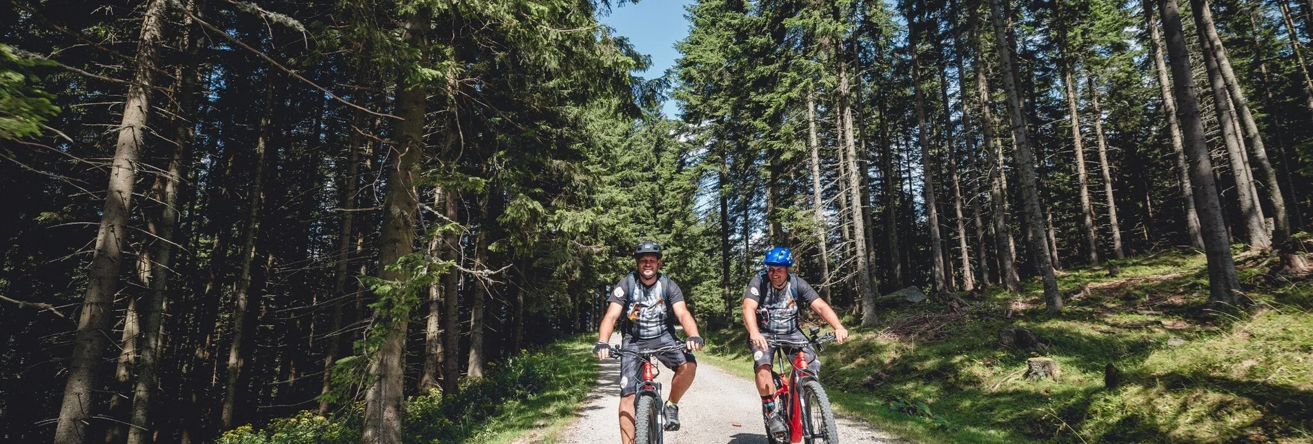 Mountain Biking Malleistenalm mountain bike trail - Touren-Impression #1 | © Tourismusverband Hochsteiermark