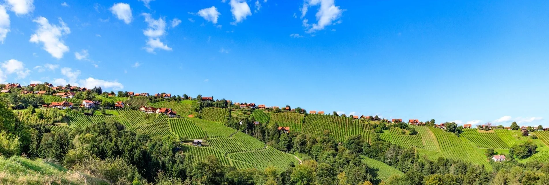 Radfahren Schilcher Tour Nord Variante 1 - Touren-Impression #1 | © Schilcherland Steiermark