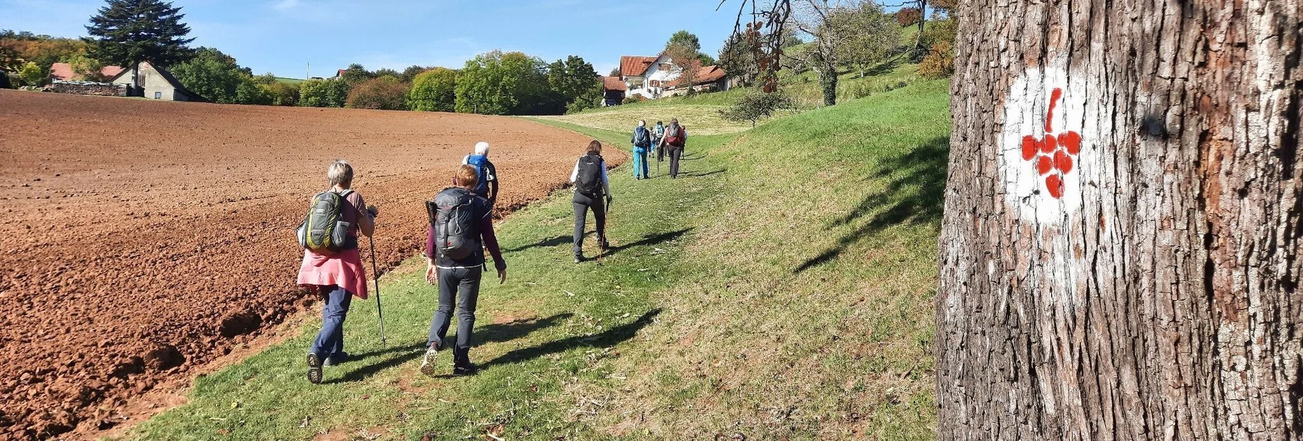 Wanderung Weinweg der Sinne in St. Anna am Aigen - Touren-Impression #1 | © Weges OG