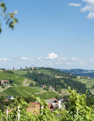 Lage mittem im Weinberg | WEGES | © TV Südsteiermark - WEGES