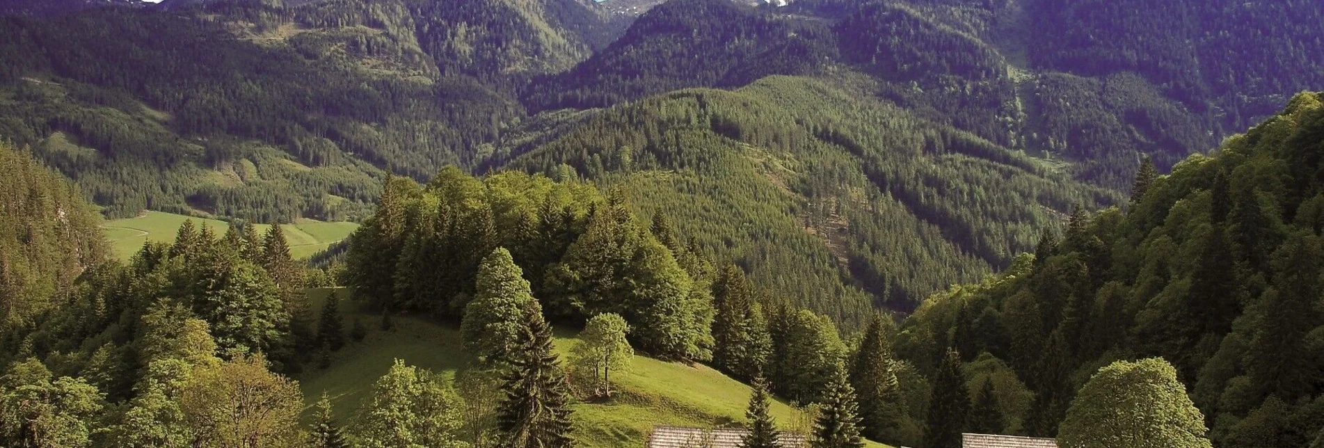 Hiking route Johnsbacher Almenrunde - Touren-Impression #1 | © Gesäuse - Admont