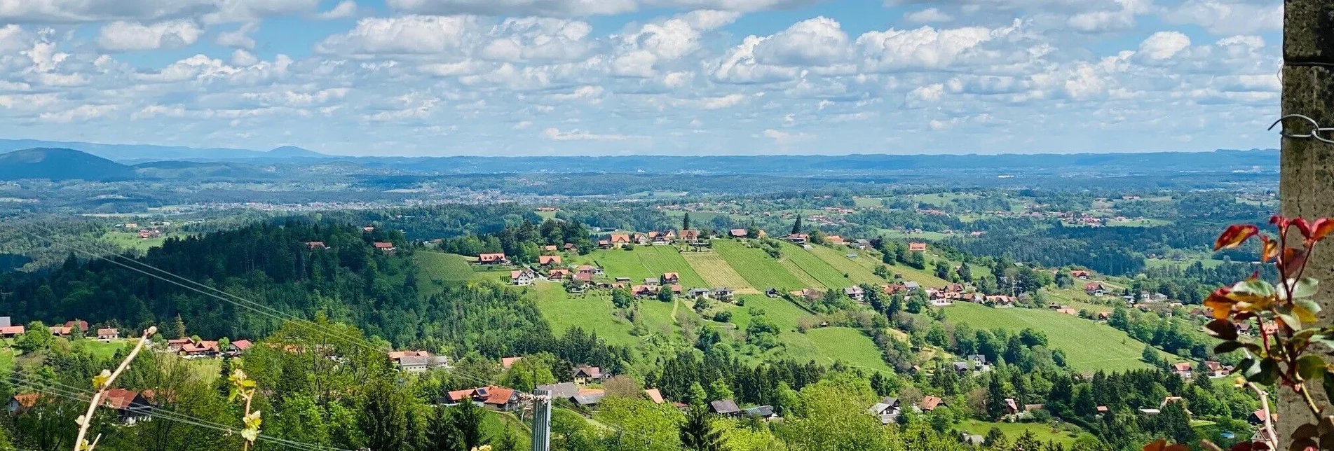 Radfahren Schilcher Tour Nord - Touren-Impression #1 | © Schilcherland Steiermark