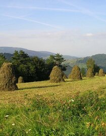 via natura etappe 8: arbeiten im einklang mit der natur_img_18276253 | © Tourismusverband Murau | Tourismusverband Murau | © Tourismusverband Murau