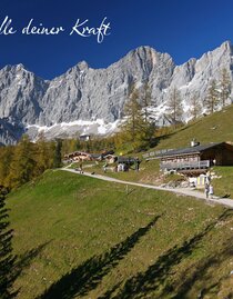 Almgebiet Brandalm | © Erlebnisregion Schladming-Dachstein | Tourismusverband Ramsau am Dachstein | © Erlebnisregion Schladming-Dachstein
