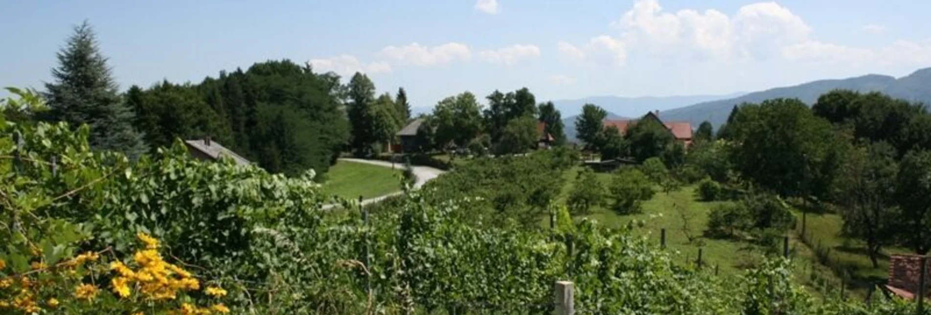 Radfahren Ölspur-kleine Familientour - Touren-Impression #1 | © Südsteiermark