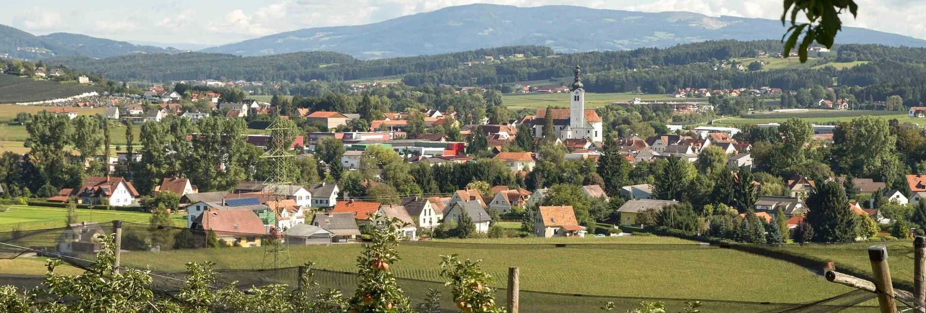 Radfahren Käferbohnentour mit Panoramasicht - Touren-Impression #1 | © Oststeiermark Tourismus