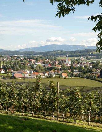 Panoramic view, Eastern Styria | Simon Sackl | © Oststeiermark Tourismus