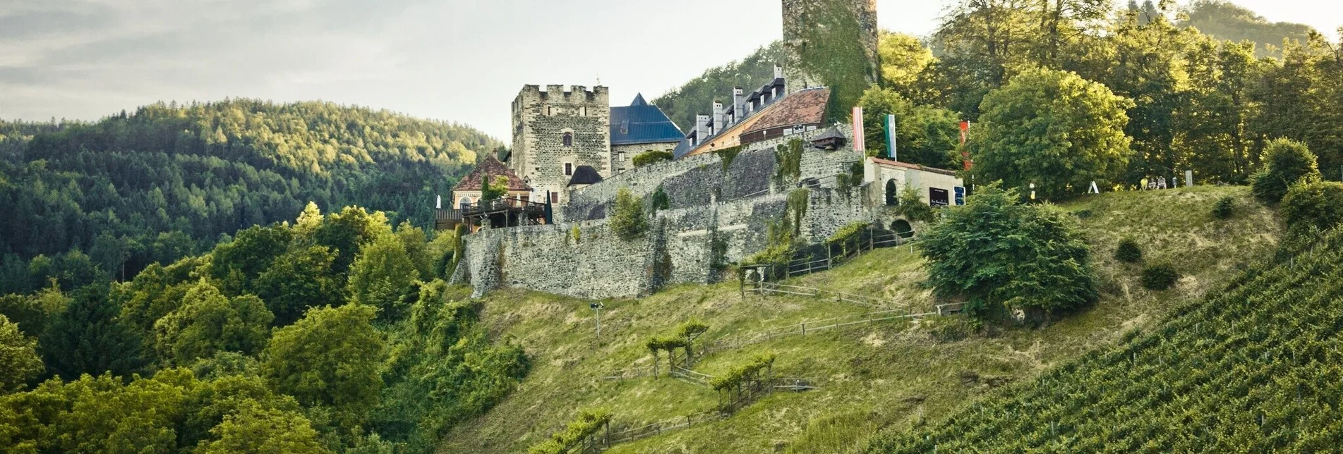 Wanderung Weinlehrpfad - Touren-Impression #1 | © TVB/Südsteiermark/Lupi Spuma