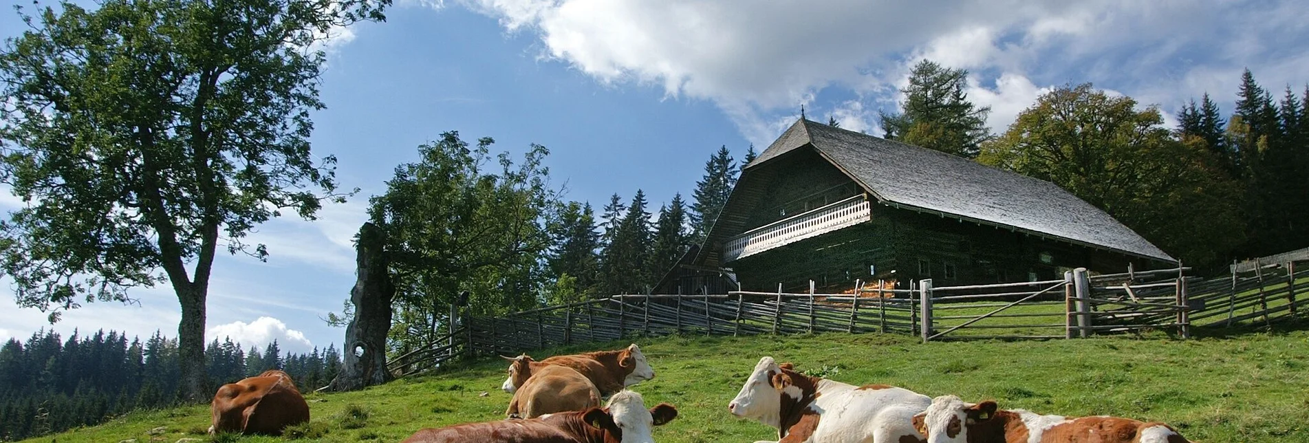 Pilgrim Walk Mariazeller Weg 8. Tagesetappe B - Touren-Impression #1 | © TV Hochsteiermark