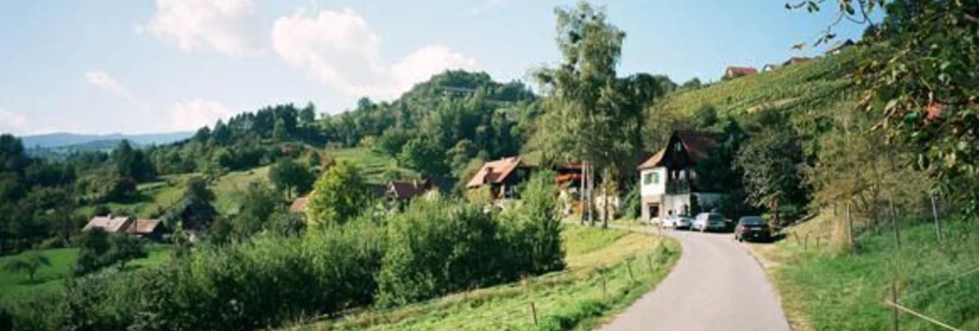 Wanderung Schilcherrundweg Variante 1 (lang) - über Vochera/Engelweingarten - Touren-Impression #1 | © TVB Südsteiermark/Winfried Bräunlich