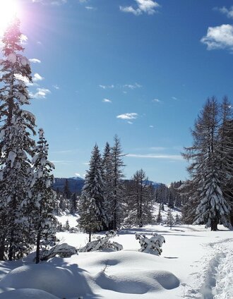 Schneeschuhwandern - Holzerhütte | Klothilde Schnedl | © Tourismusverband Region Murau