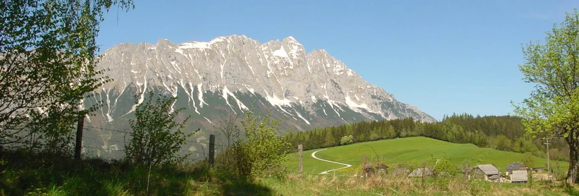 Nordic Walking Bewegungsarena - Marathonrunde (M1) - Touren-Impression #1 | © Erlebnisregion Schladming-Dachstein