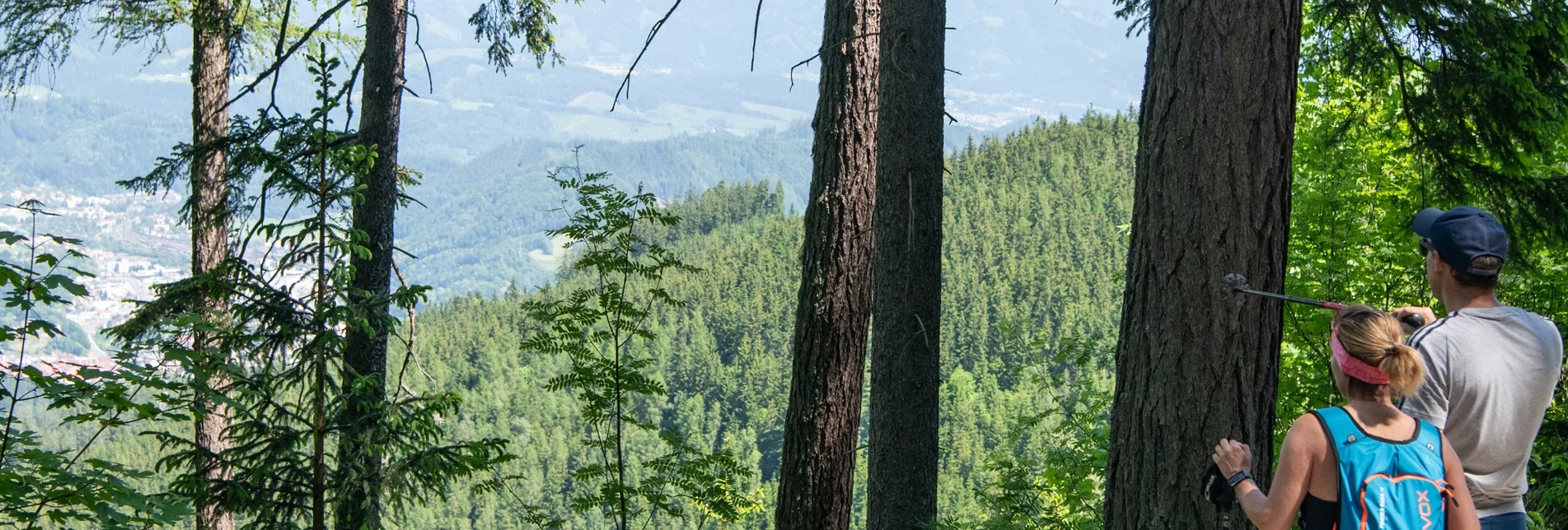 Hiking route Brucker Heubergrunde - Touren-Impression #1 | © Tourismusverband Bruck an der Mur