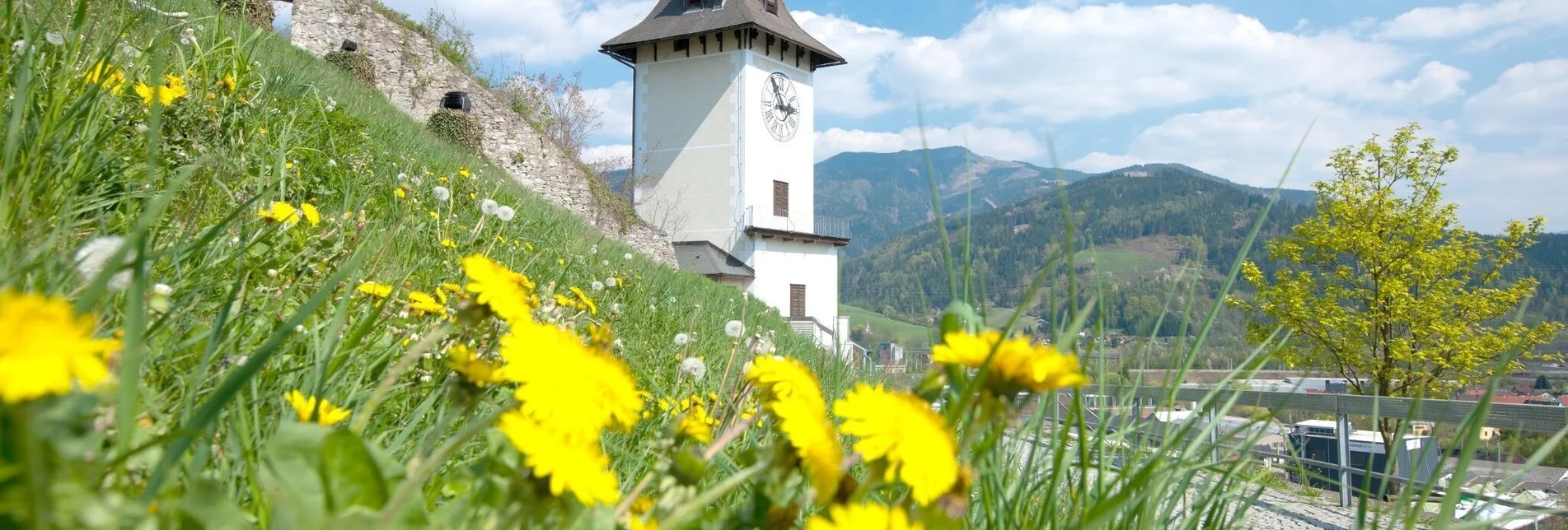 Wanderung Spaziergang auf den Brucker Schlossberg - Touren-Impression #1 | © TV Hochsteiermark