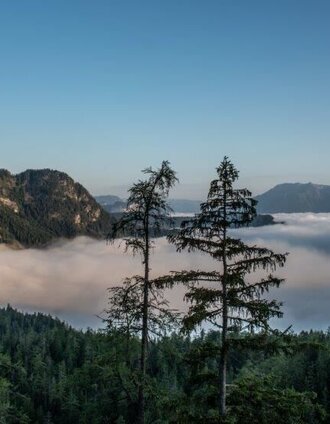 Blick vom Schafwald nach Wildalpen | Christian Scheucher | © TV Gesäuse