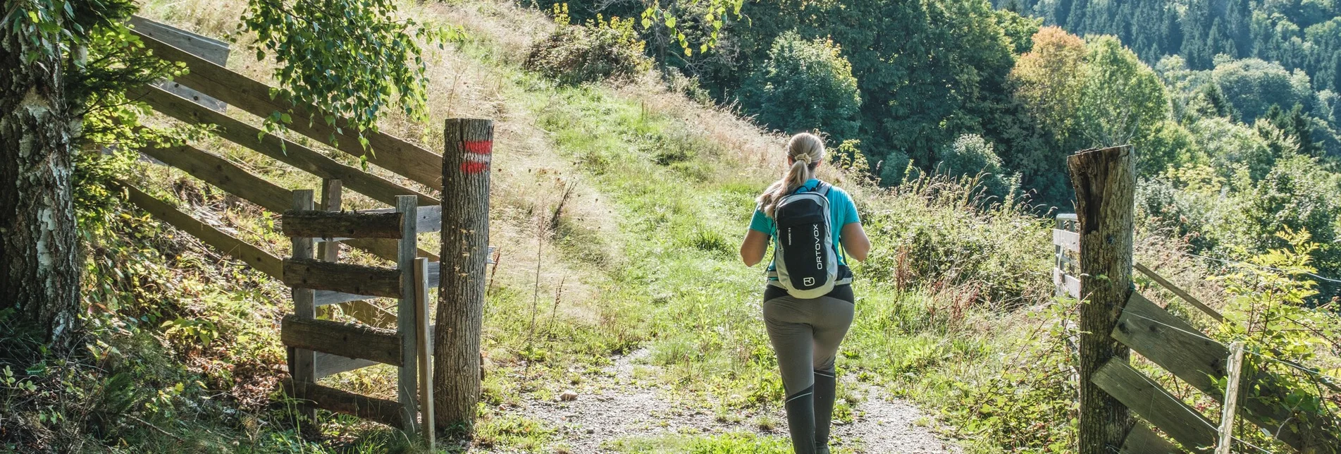 Hiking route R5 Präbichl-Glett-Rundweg - Touren-Impression #1