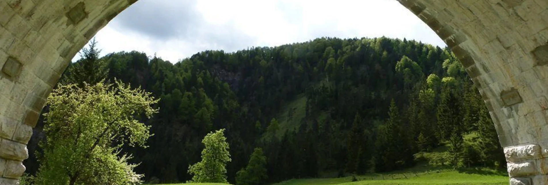 Mountain Biking Wildalpen Rundfahrt - Touren-Impression #1 | © Tourismusverband Wildalpen