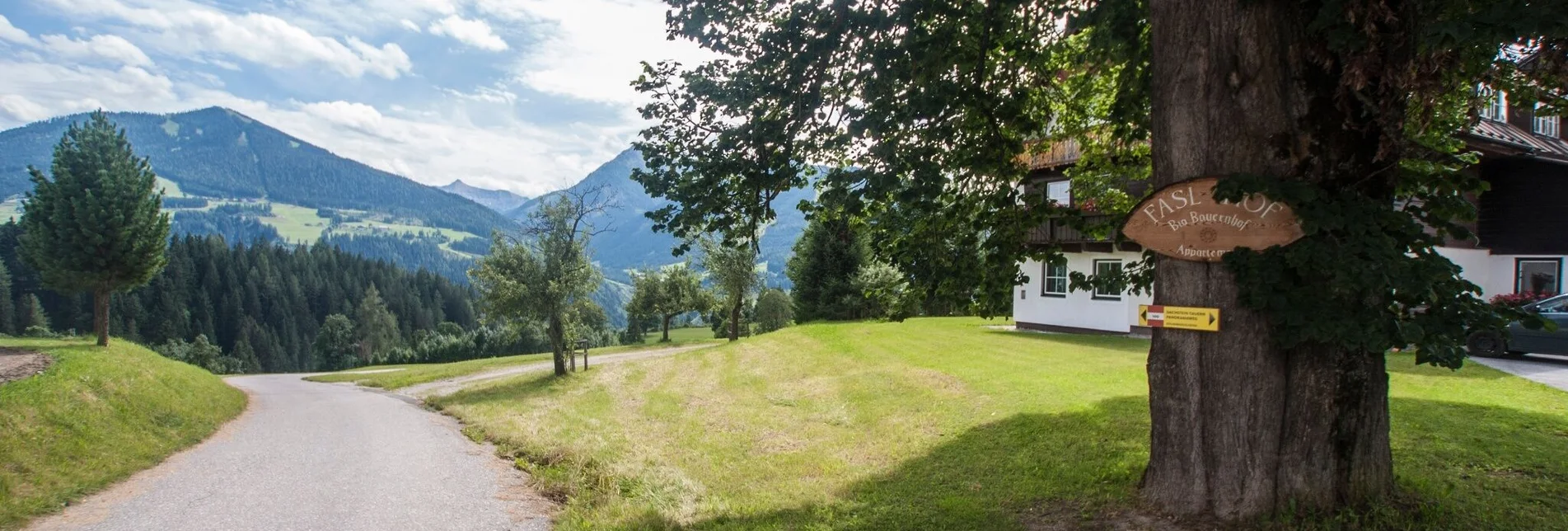 Hiking route Vorberg Walking Tour - Touren-Impression #1 | © Gerhard Pilz