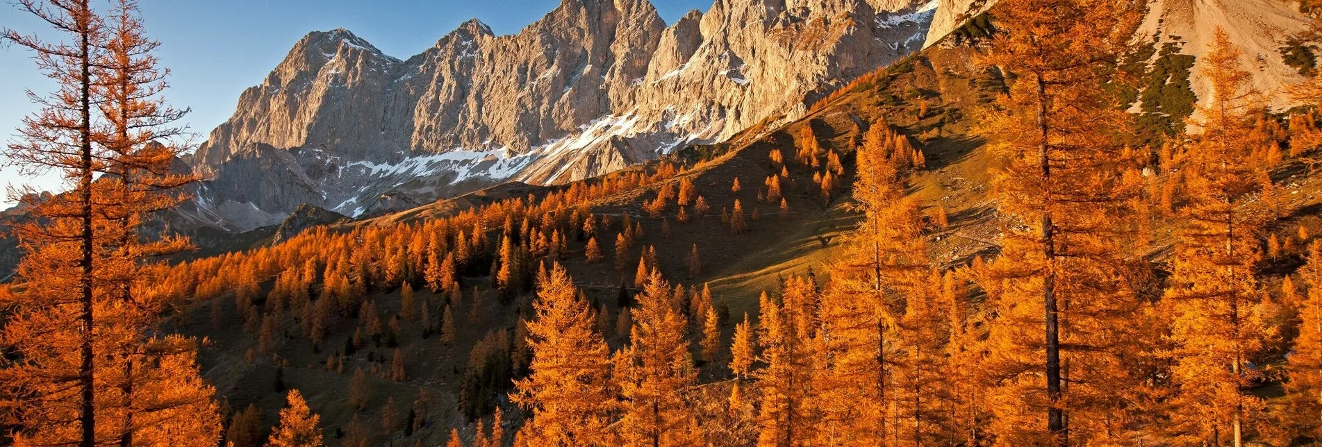 Wanderung Roseggersteig - Touren-Impression #1 | © Erlebnisregion Schladming-Dachstein