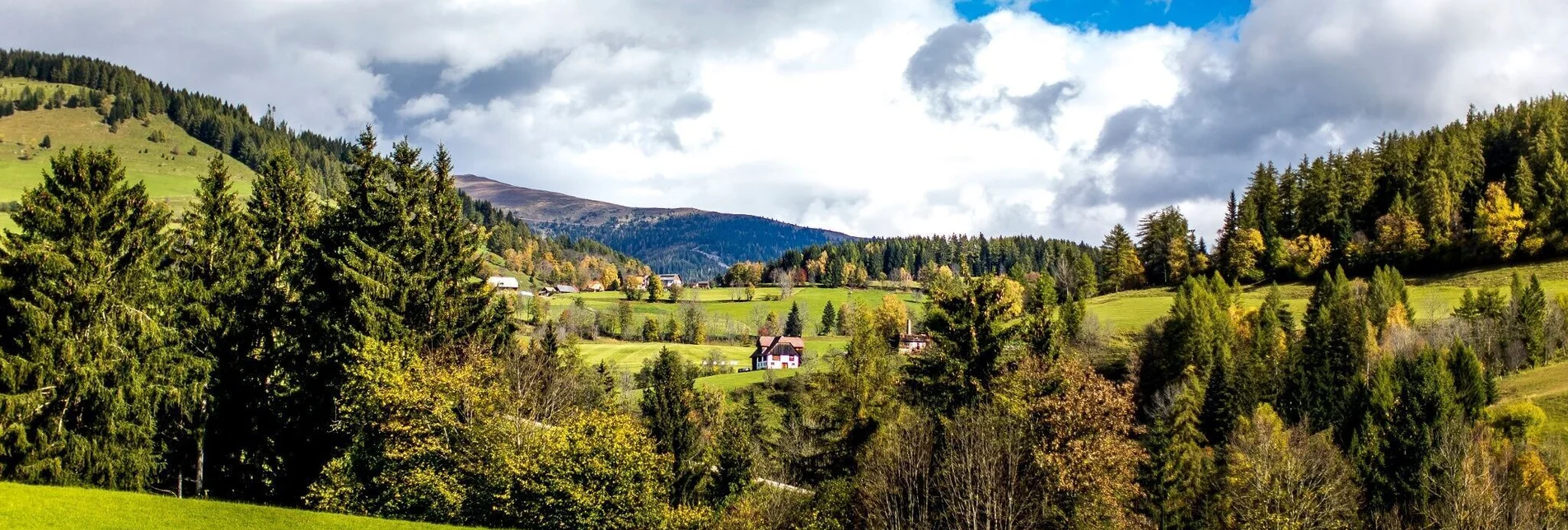 Wanderung Pöllauer Runde - Touren-Impression #1 | © Tourismusverband Murau